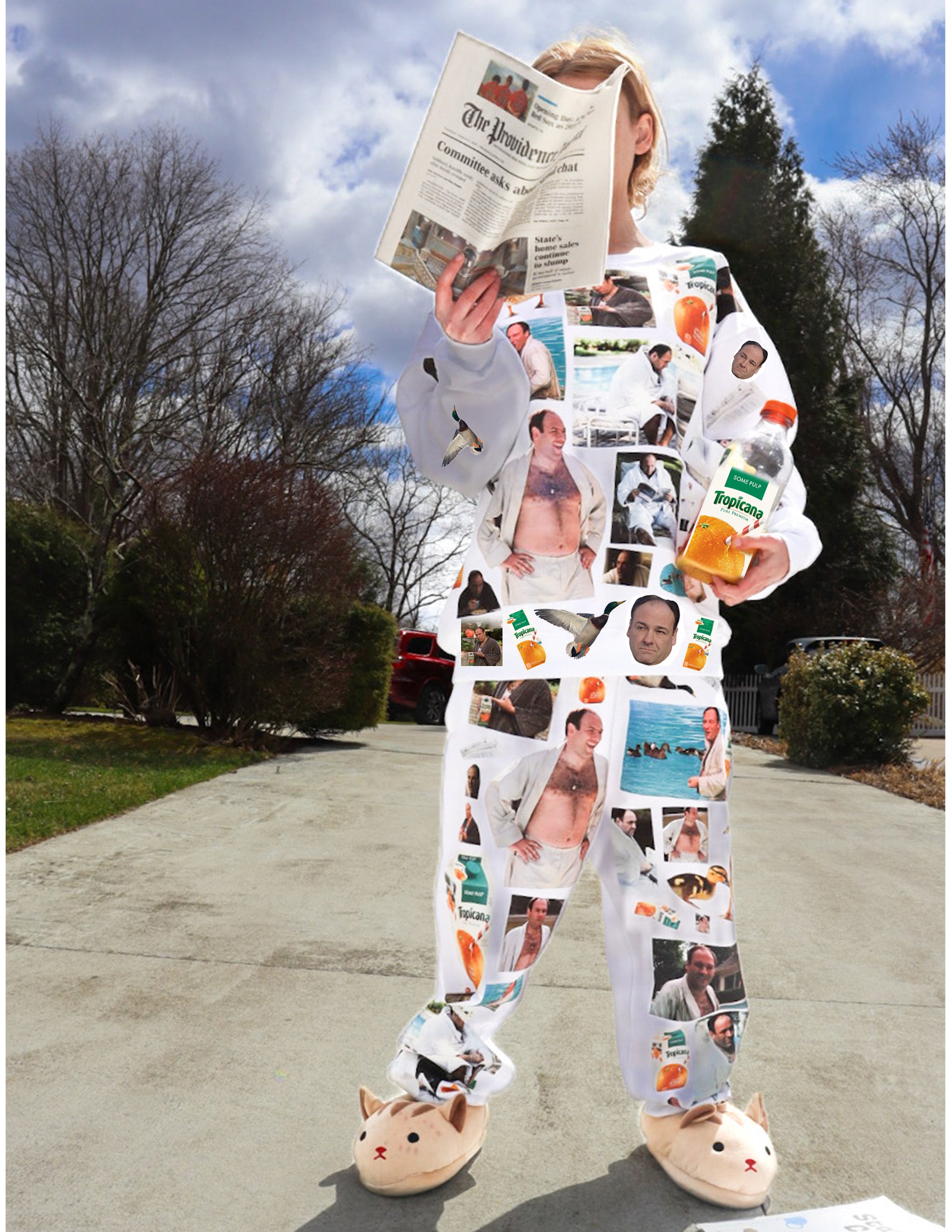 アドリアナオリバー シルクスクリーン 2024 adriana oliver新品 アドリアナオリバー シルクスクリーン 2024 adriana oliver新品