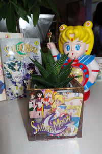 Sailor Moon Pot